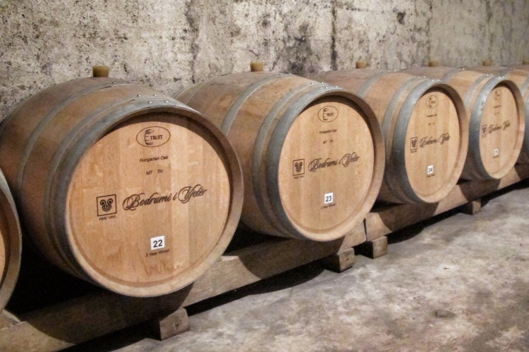 Cellar of Bodrumi i Vjetër winery in Rahovec. Image by Larissa Olenicoff / Lonely Planet