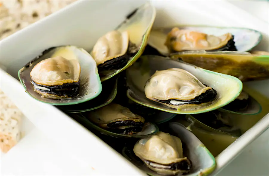 Features - green-lipped-mussells New Zealand's famous green lipped mussels. Image by georgeclerk / Getty Images