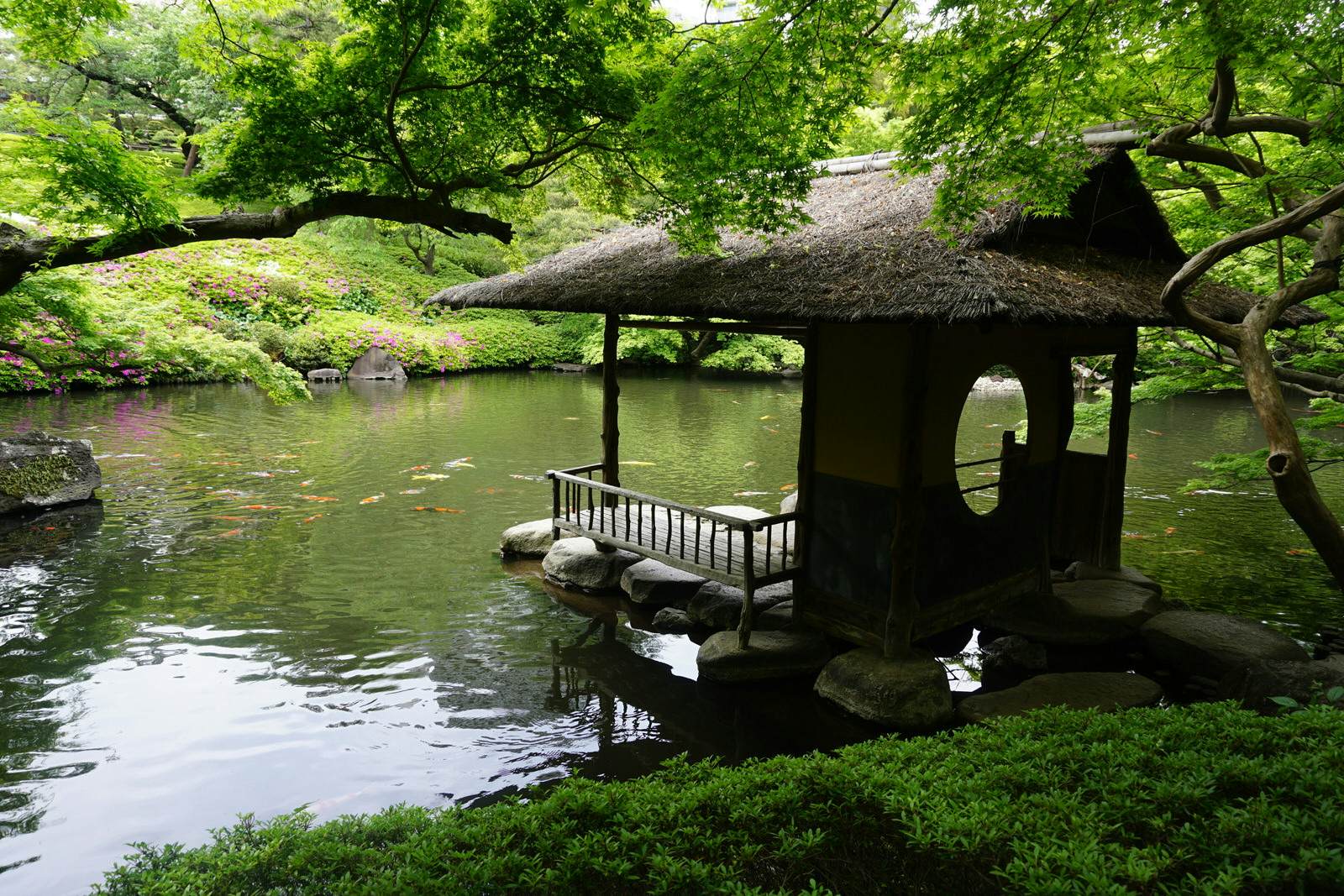 21 Free Things To Do In Tokyo - Lonely Planet