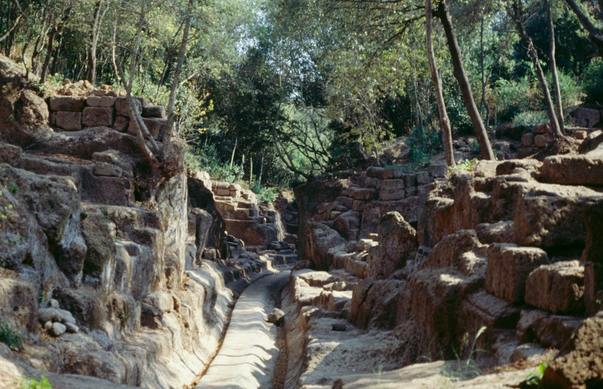 Discover your inner archaeologist by exploring the Necropoli di Banditaccia at Cerveteri.