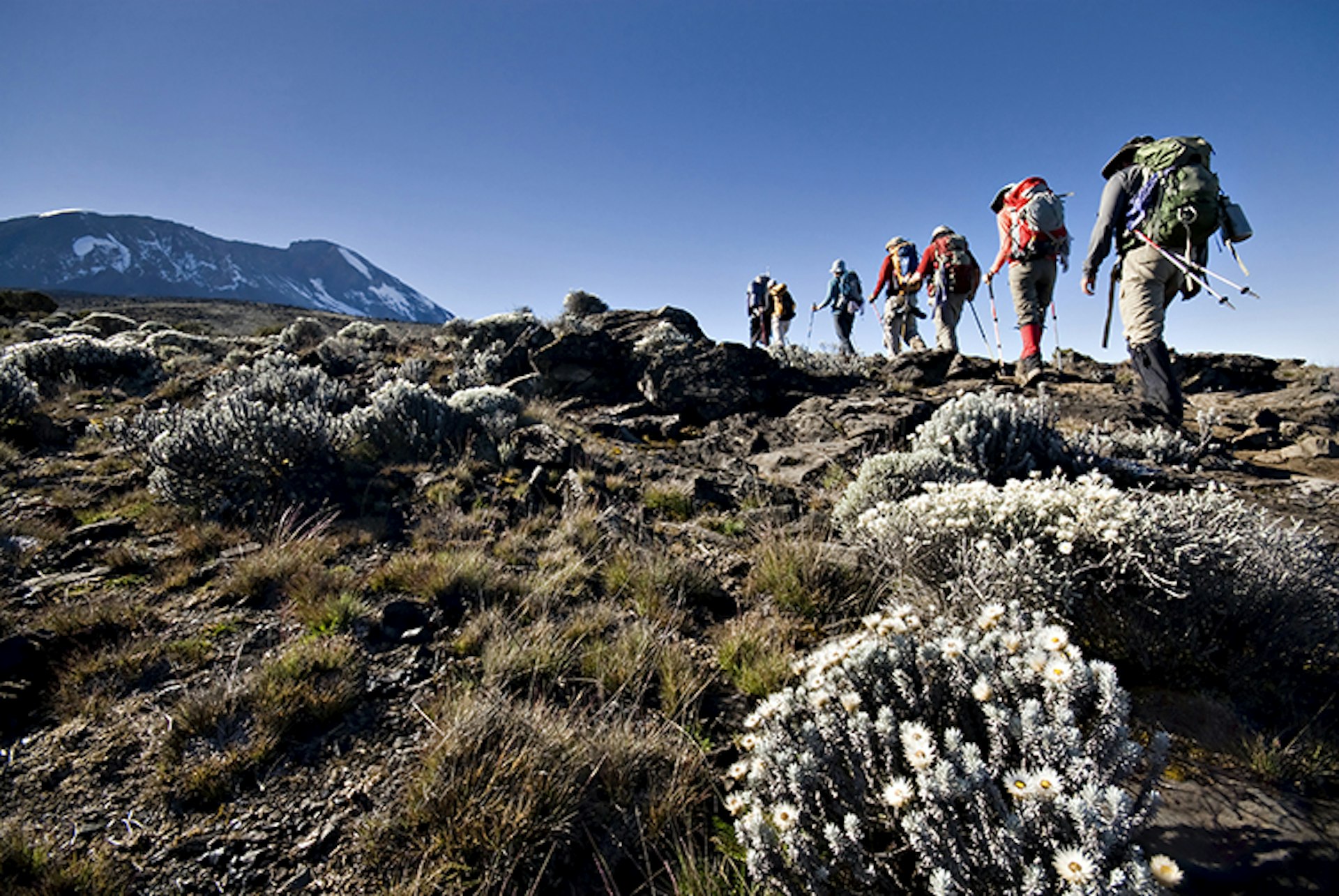 Hikers trek towards Mt. Kilimanjaro.