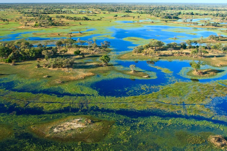 The Okavango Why You Need A Safari In Botswana S Delta Lonely Planet   GettyImages 111650618 Medium Cs 