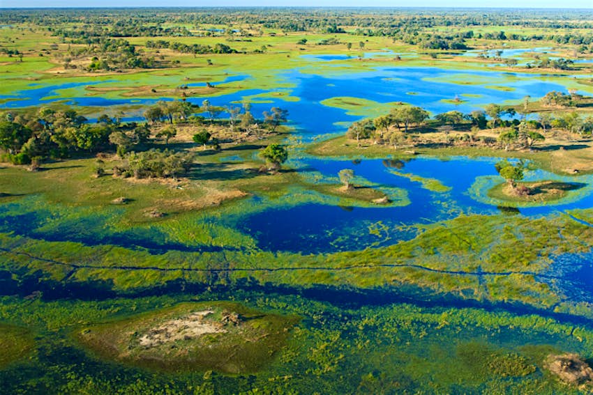 okavango delta safari