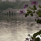 Serenity at Huizhou's West Lake: perfect antidote to modern China. Image by bpperry / Getty