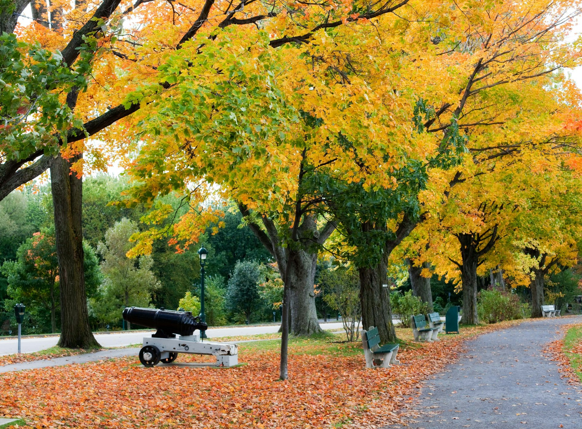 Battlefields Park in Autumn. Image by muchemistry / Getty