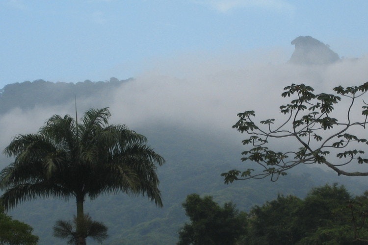 Photogenic Pico do Papagaio at dawn. Image by Gregor Clark / Lonely Planet
