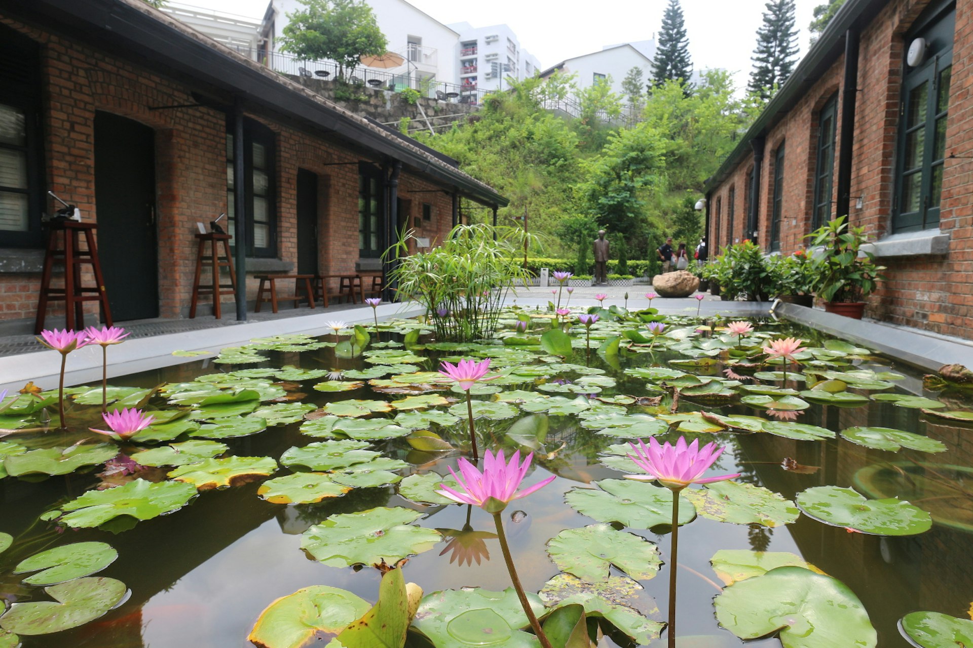 Picturesque sleep beside the lily pond at Jao Tsung-I Academy. Image by Piera Chen / Lonely Planet