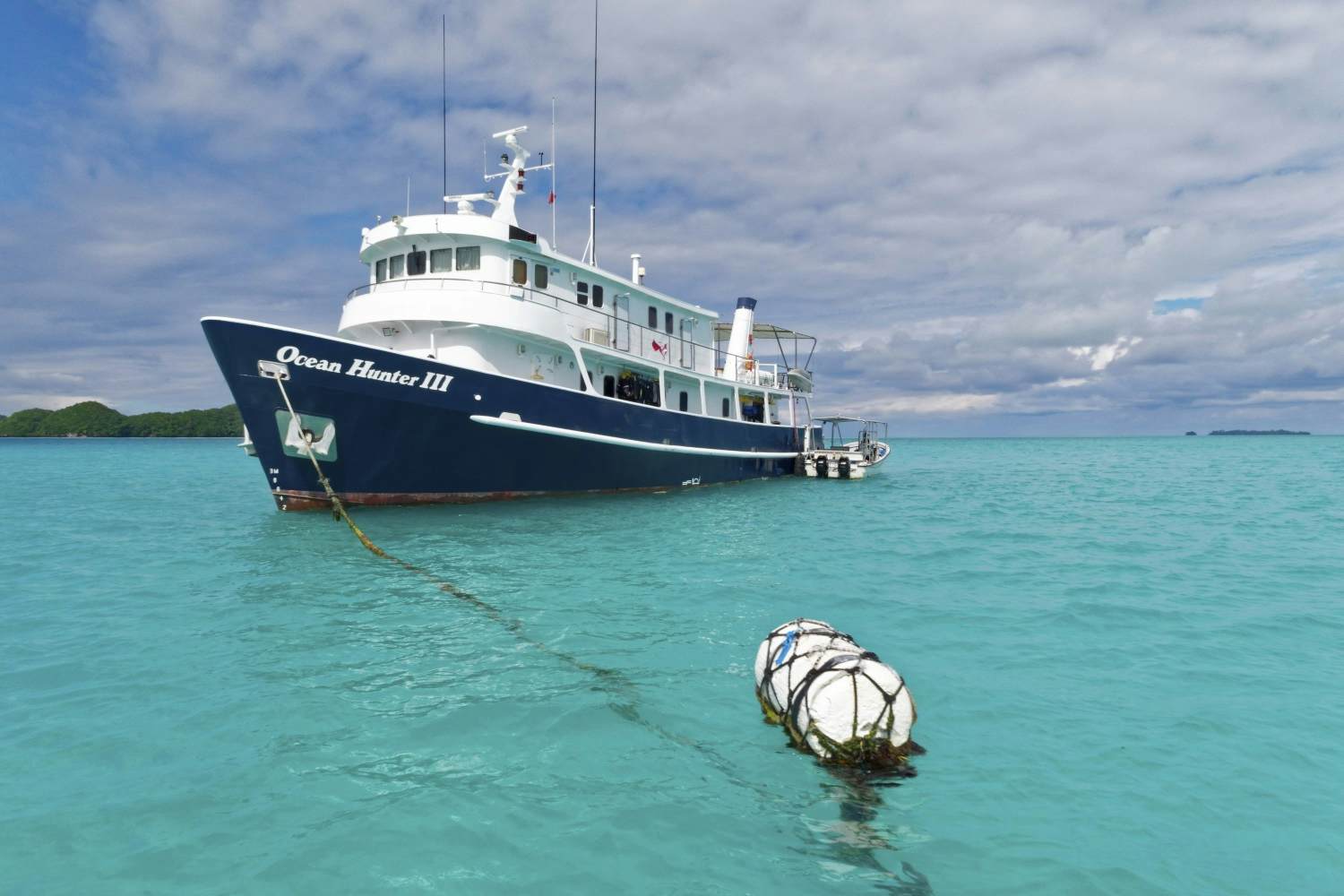 Diving In Paradise: Underwater Adventures In Palau - Lonely Planet