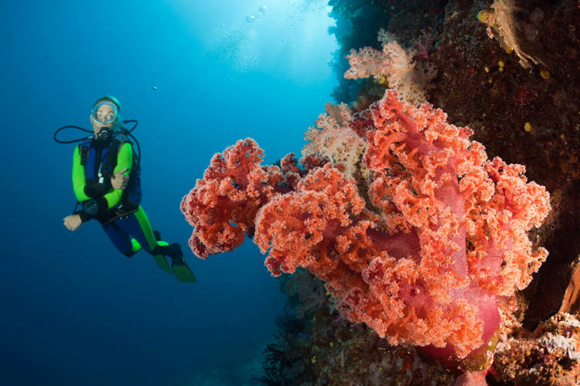 Scuba diving around the coral reef of Namena Marine Reserve. Image by Reinhard Dirscherl / ullstein bild / Getty Images