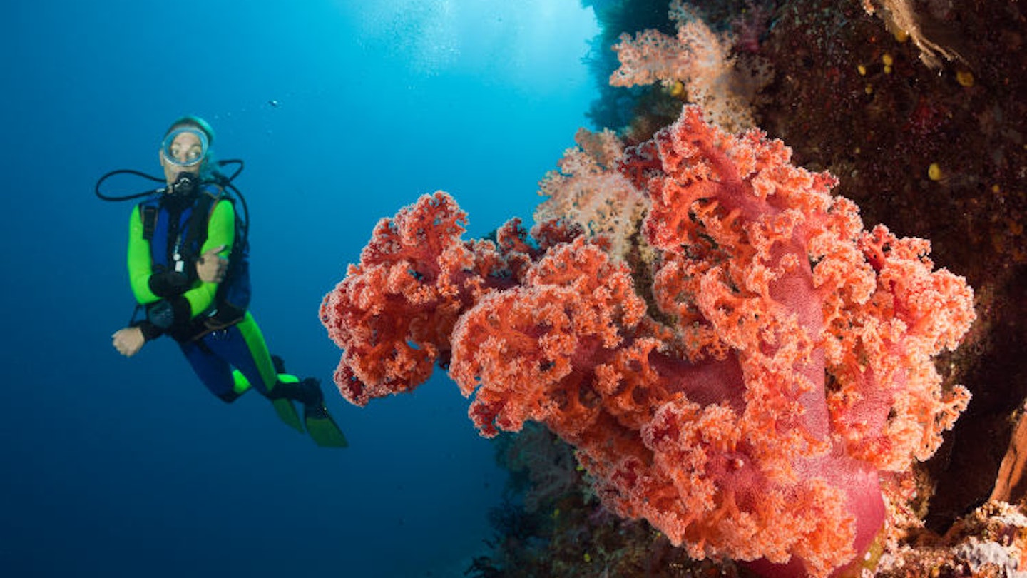 Scuba diving around coral reefs in Namena Marine Reserve, Fiji. Image by Reinhard Dirscherl / ullstein bild / Getty Images