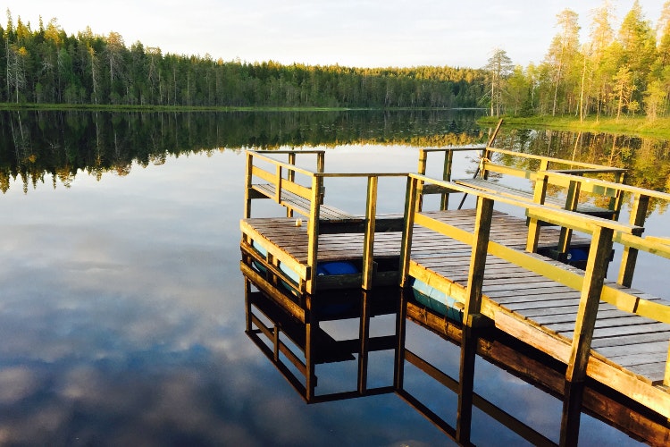 crystal-clear-lake-wild-brown-bear-centre