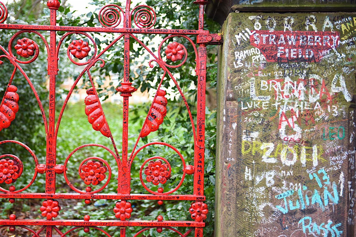 Features - strawberry fields Strawberry Fields. Image by Francisco Antunes / CC BY 2.0
