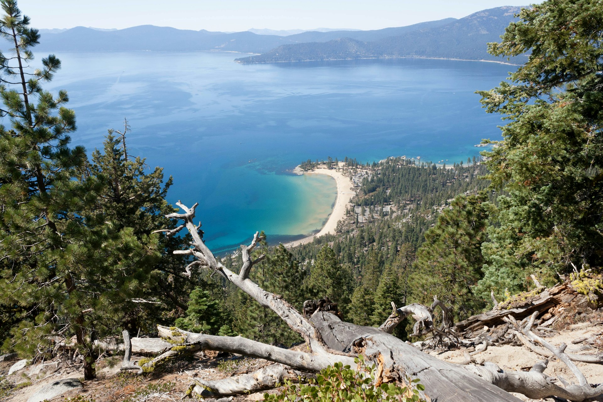 From a high vantage point, a forest, fallen tree, beach and the blue expanse of California's Lake Tahoe spread out below