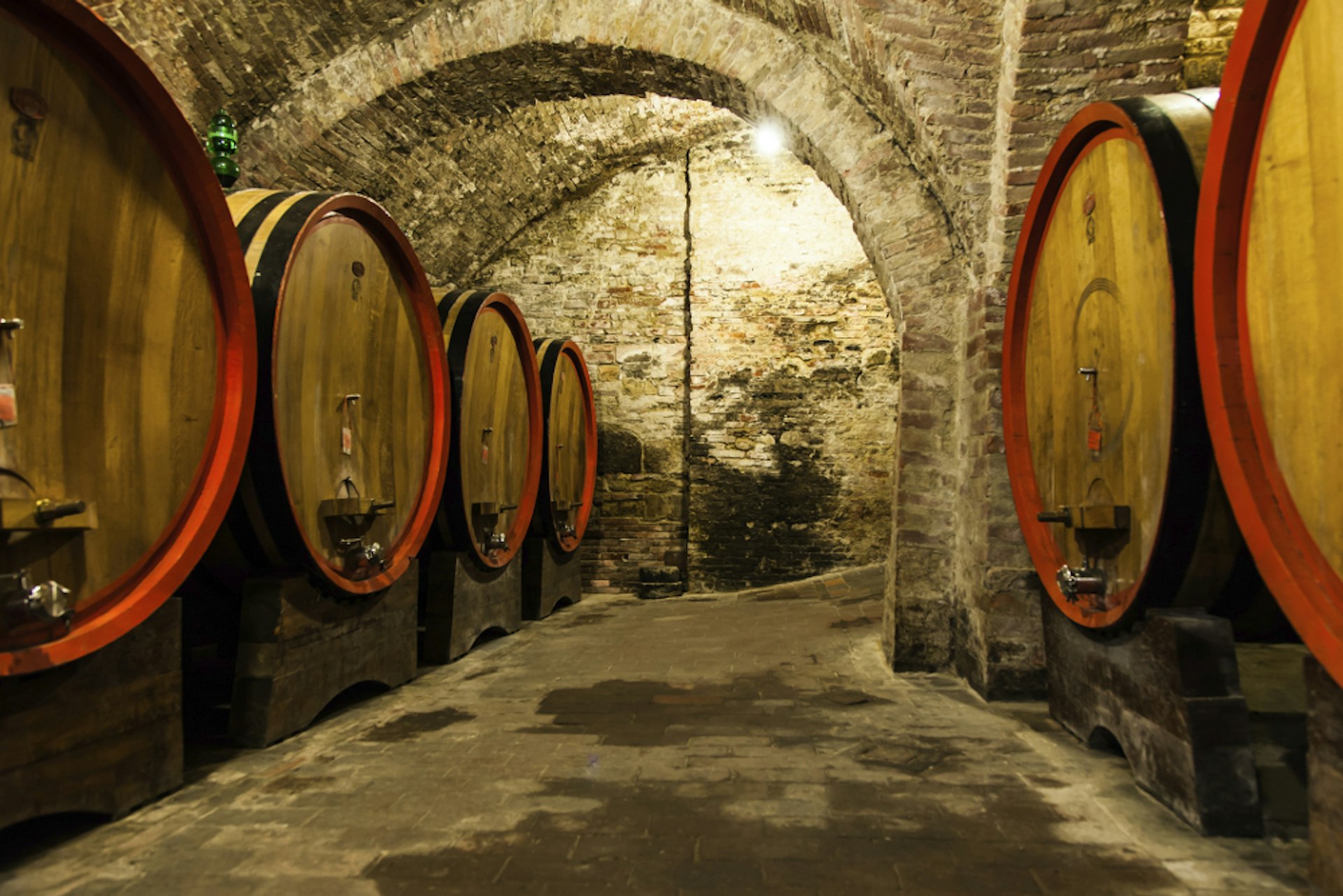 Wine being aged in oak barrels in Tuscany. 