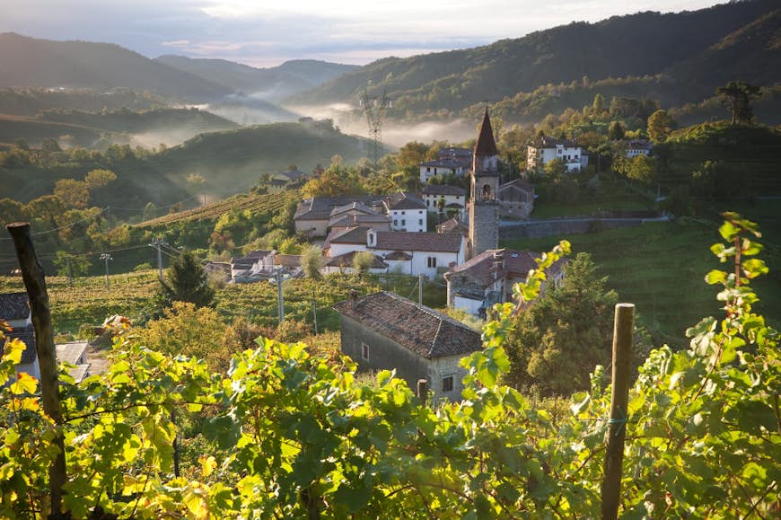Prosecco vineyards in the Veneto region. 