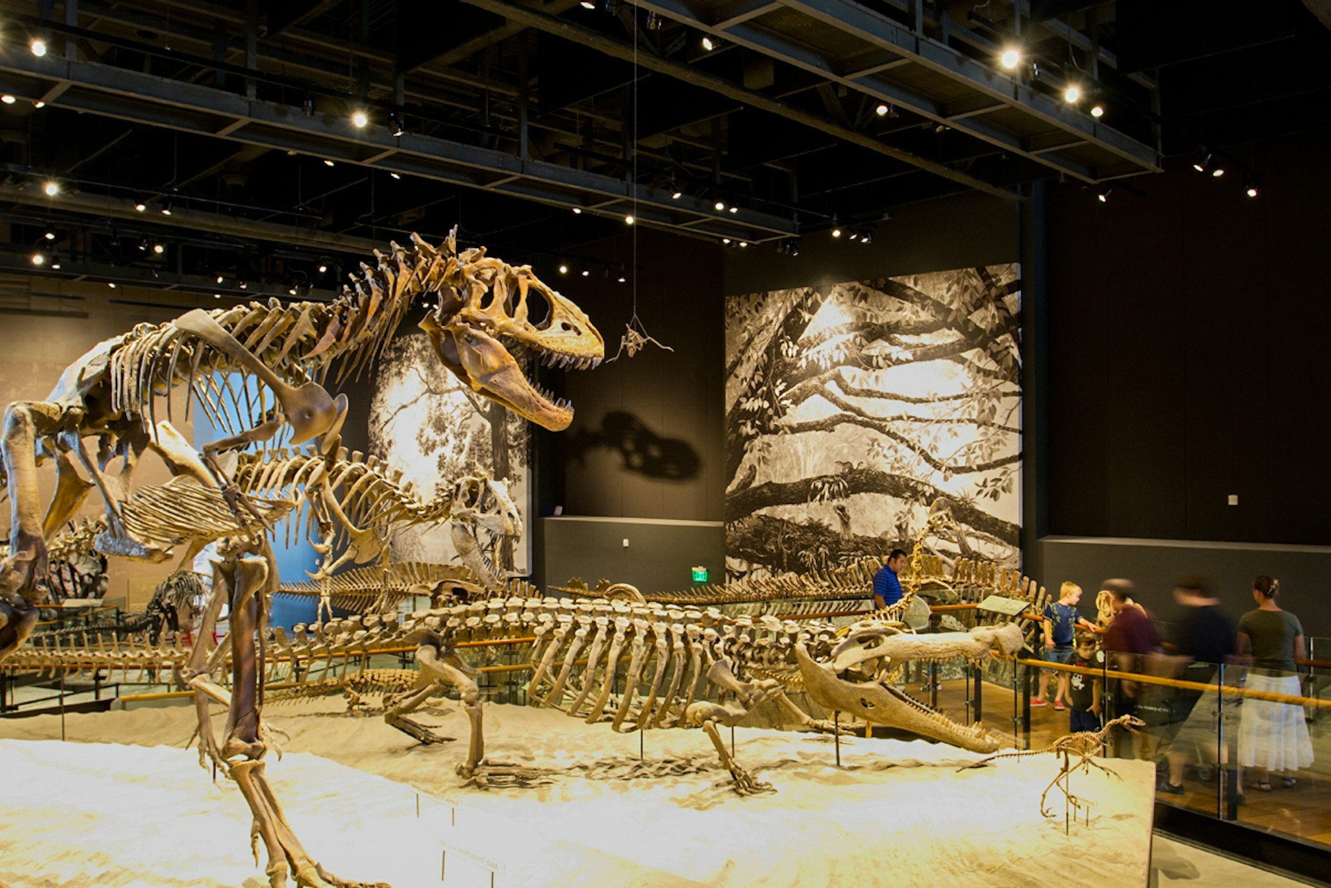 The Natural History Museum provides hours of entertainment (and education) for kids and adults alike. Image by Andy Christiani / Lonely Planet
