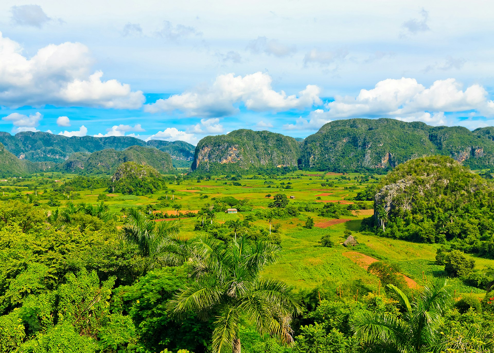 The Vinales valley in Cuba © Kamira / Shutterstock