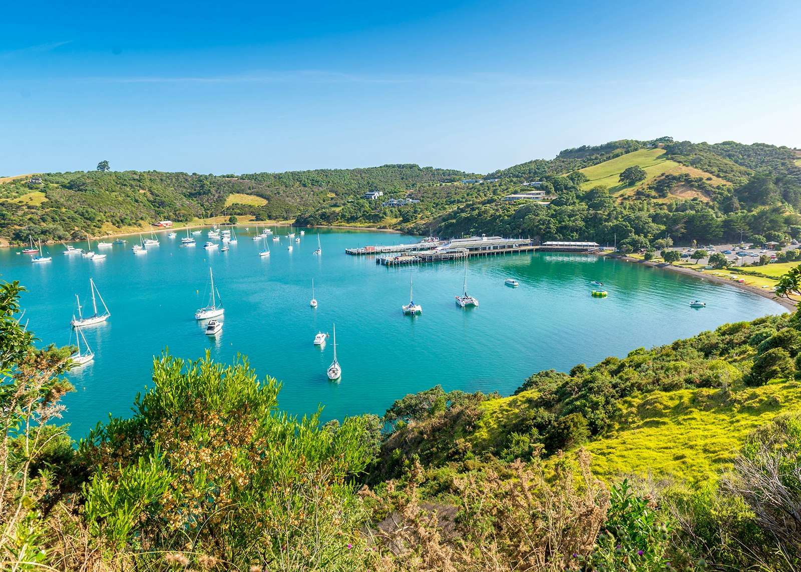 Beautiful bay on Waiheke Island, New Zealand © Troy Wegman / Shutterstock