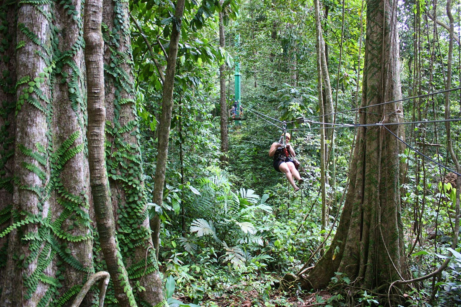 Brushing shoulders with the rainforest canopy: only on a zipline © Lorna Parkes / Lonely Planet