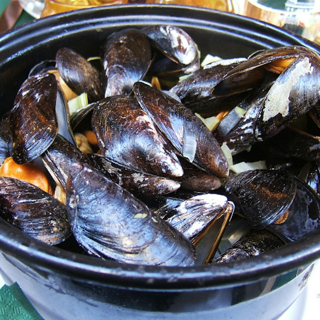 Features - Mussels in Brussels
