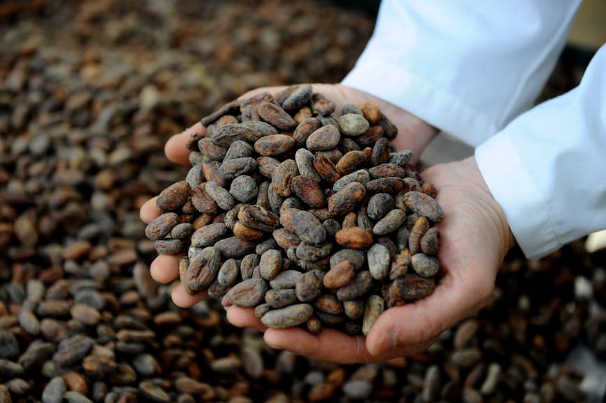 Organic chocolate beans ready to be made into Pacari Chocolates. (Image by RODRIGO BUENDIA / AFP / Getty Images)