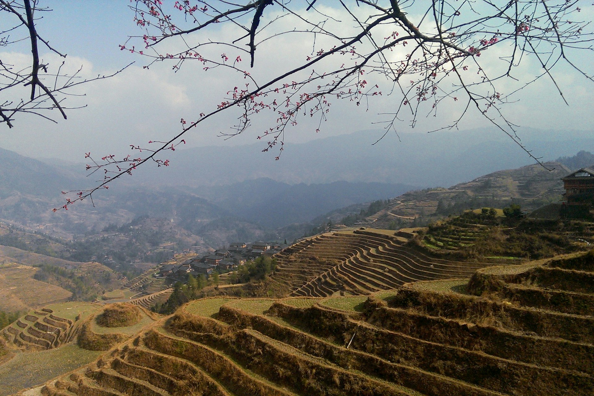 Expansive Guangxi views over the Longji Rice Terraces. Image by Piera Chen / Lonely Planet