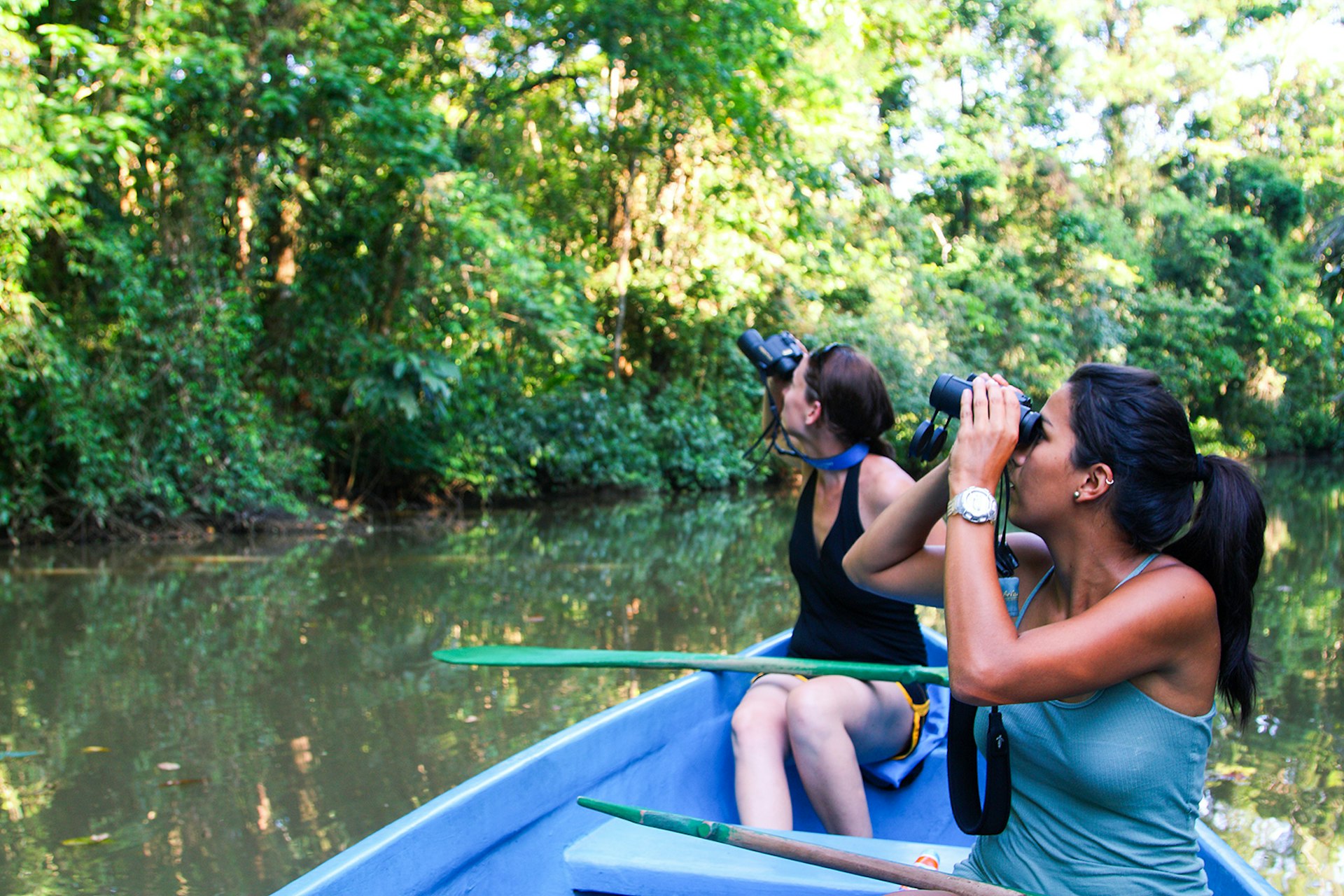 Features - Eco-tourists on boat tour through rainforest.