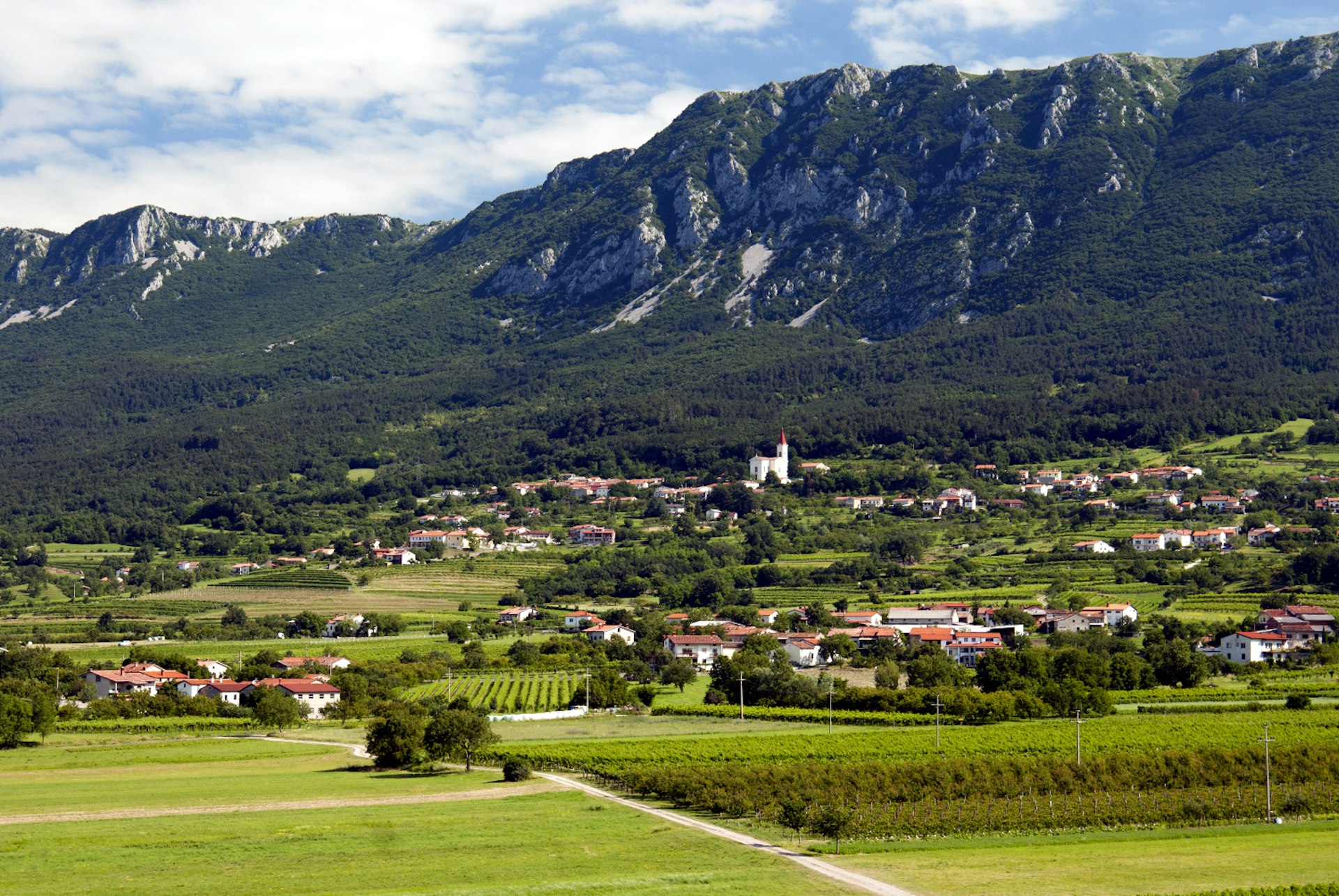 A small town with green vineyards all around is loomed over by a large craggy mountainside