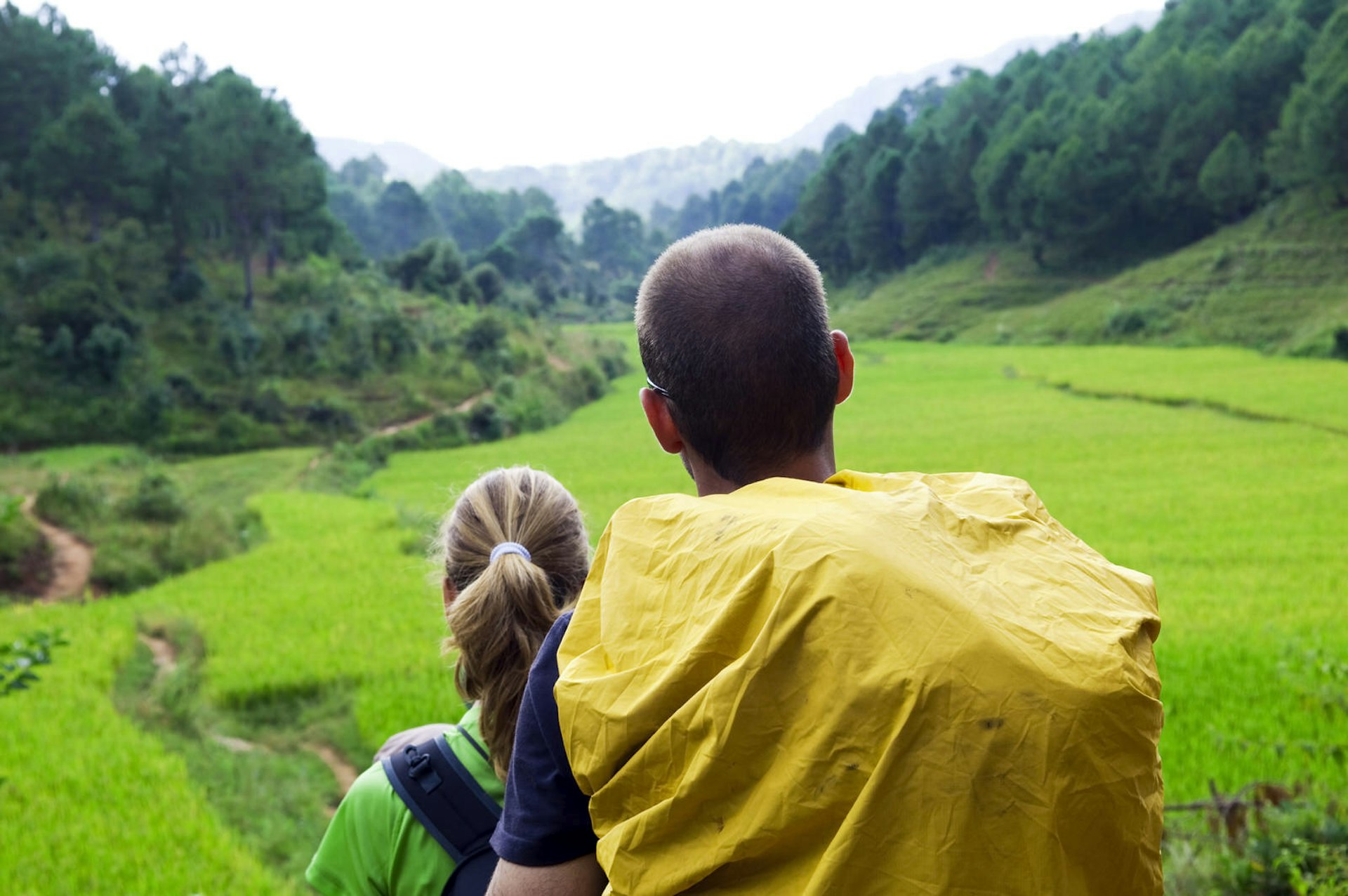 Hikers in a rice paddy