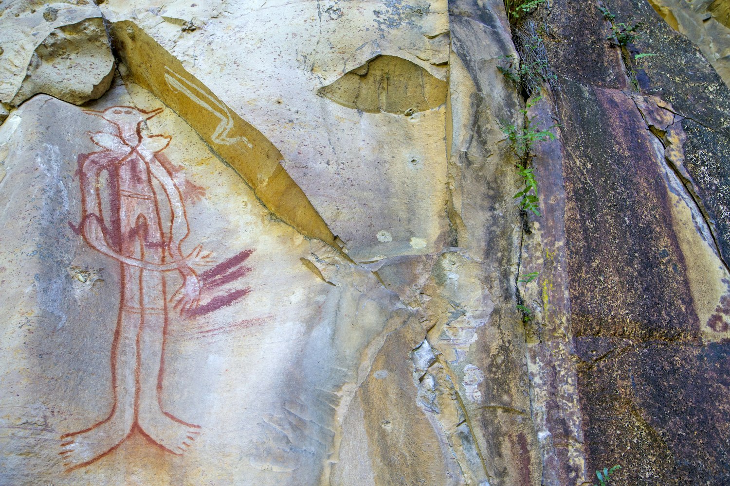 Rock art in the Jatbula Amphitheatre. Image by Andrew Bain / Lonely Planet