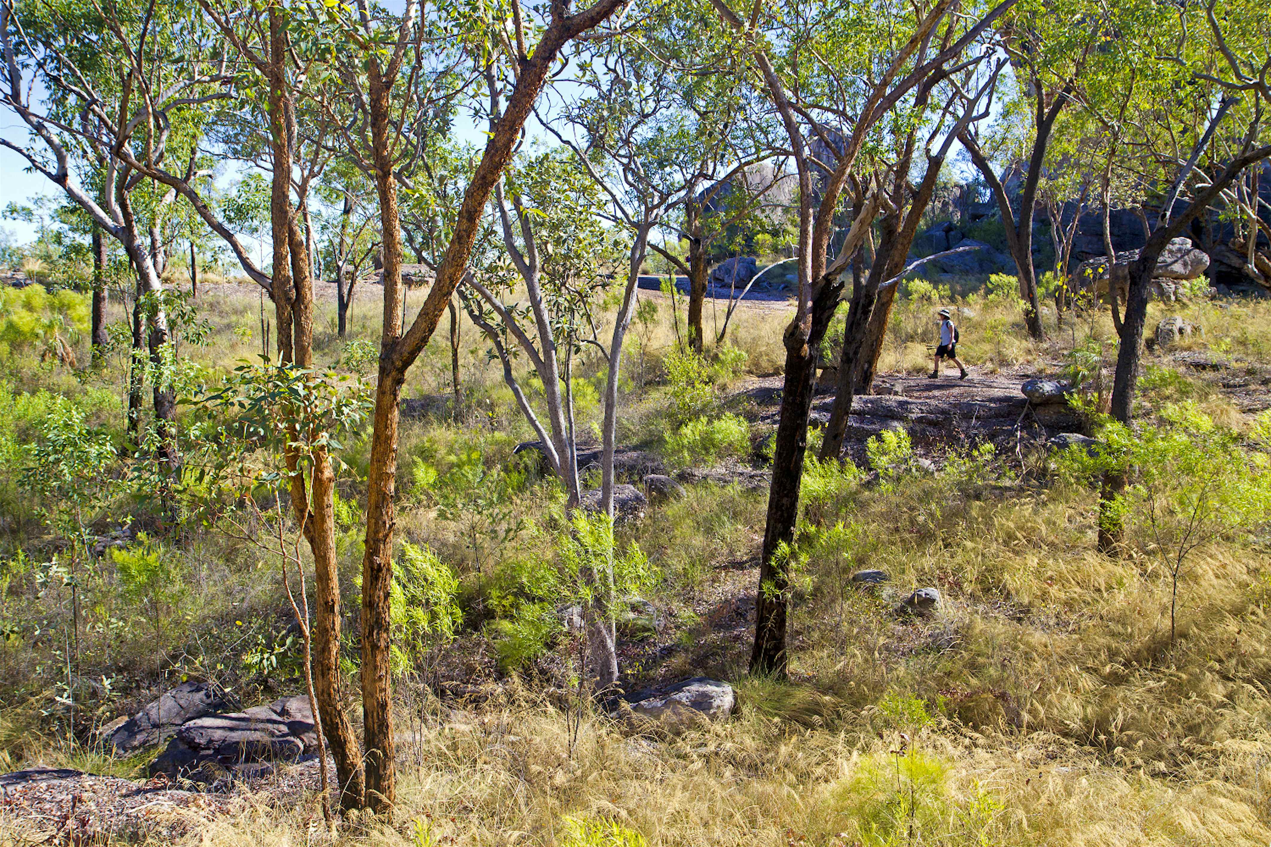 Walking in Australia's Northern Territory - Lonely Planet