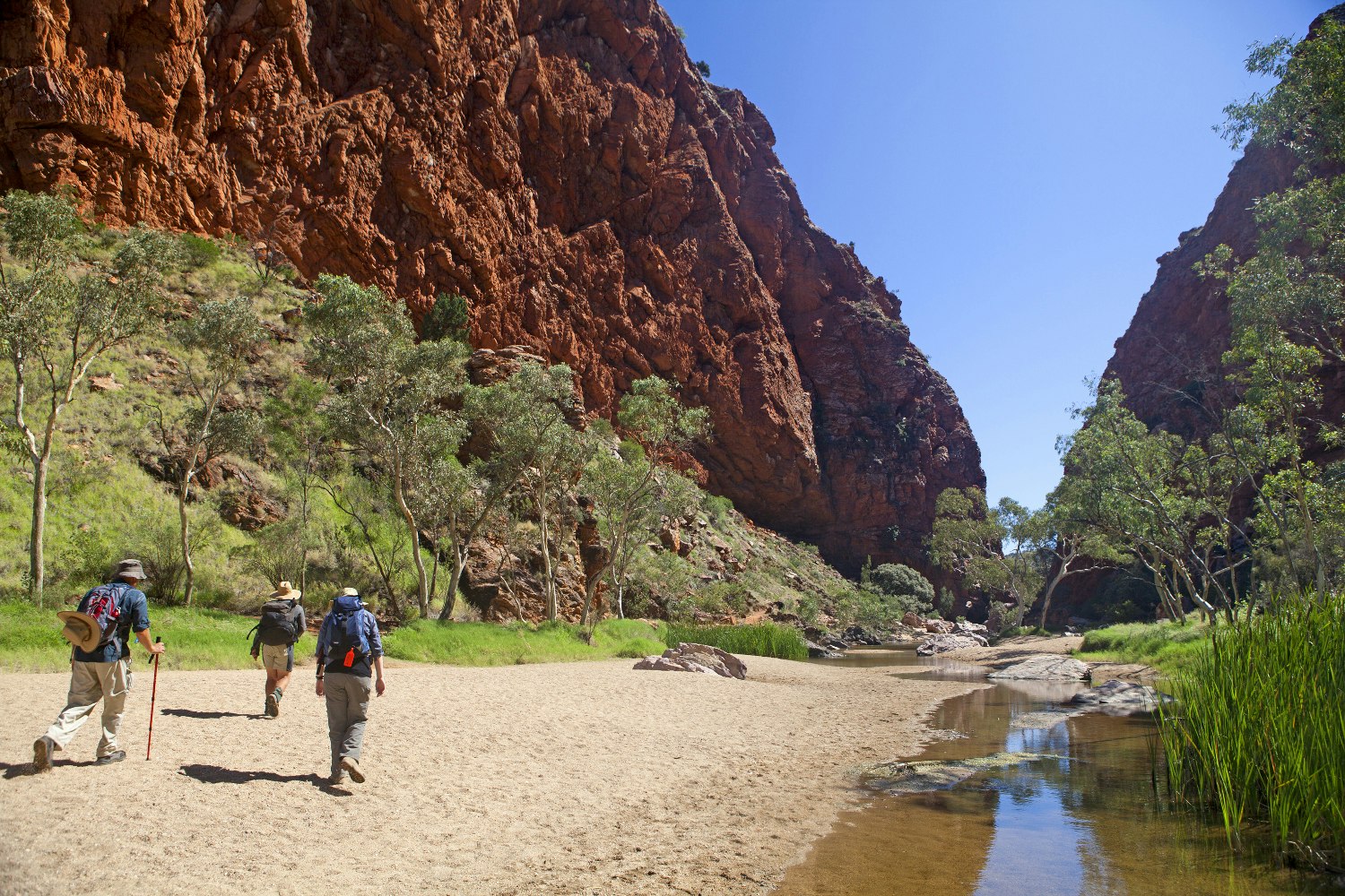 Features - Bushwalkers at Simpsons Gap on the Larapinta Trail