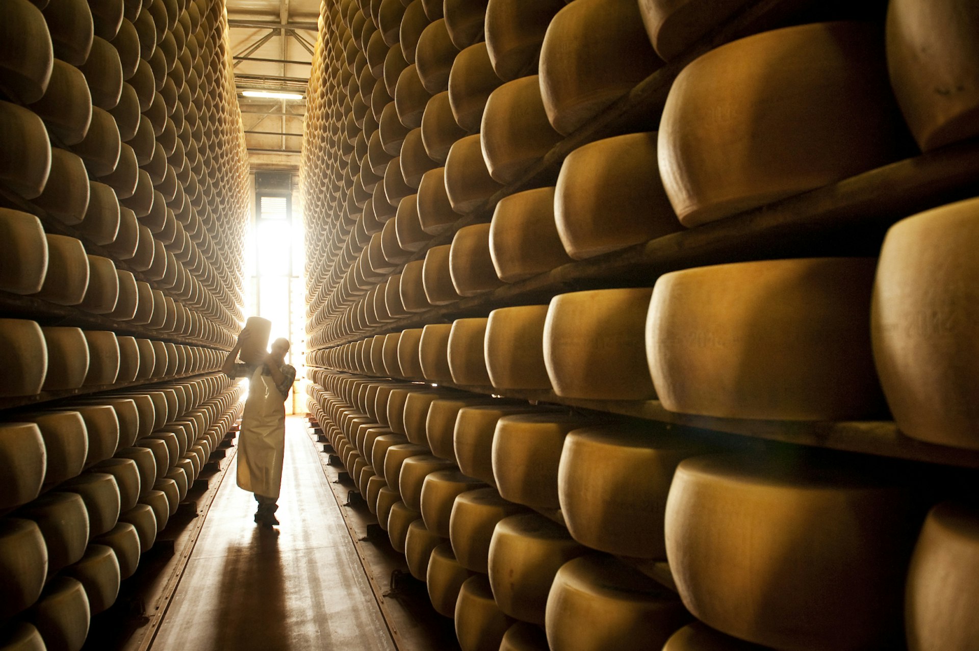 Parmigiano Reggiano is aged on wooden shelves for at least 12 months
