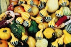 A selection of colourful pumpkins at Ljubljana's Central Market