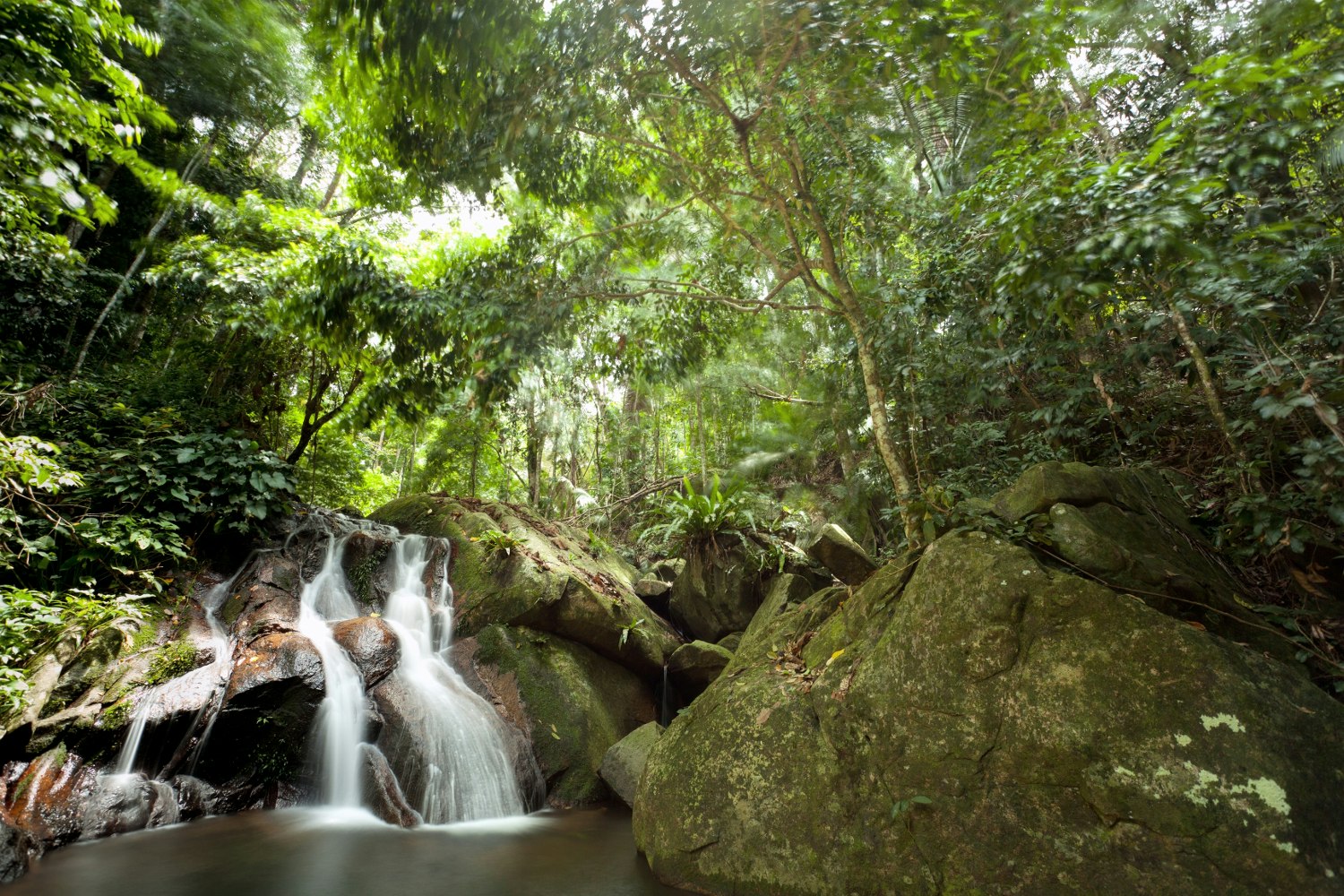 Rainforest waterfall on Tioman island © Stephane Bidouze / Shutterstock