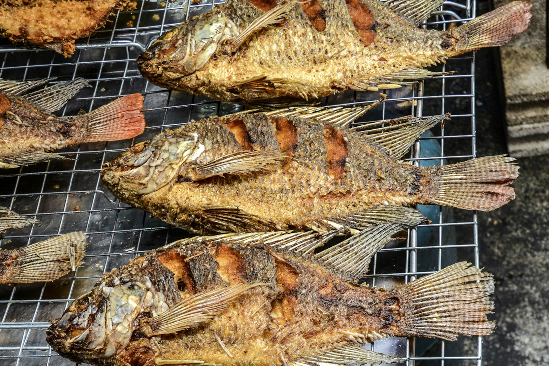 Excellent barbecued fish can be found all over Malaysia © Sam Camp / Getty Images