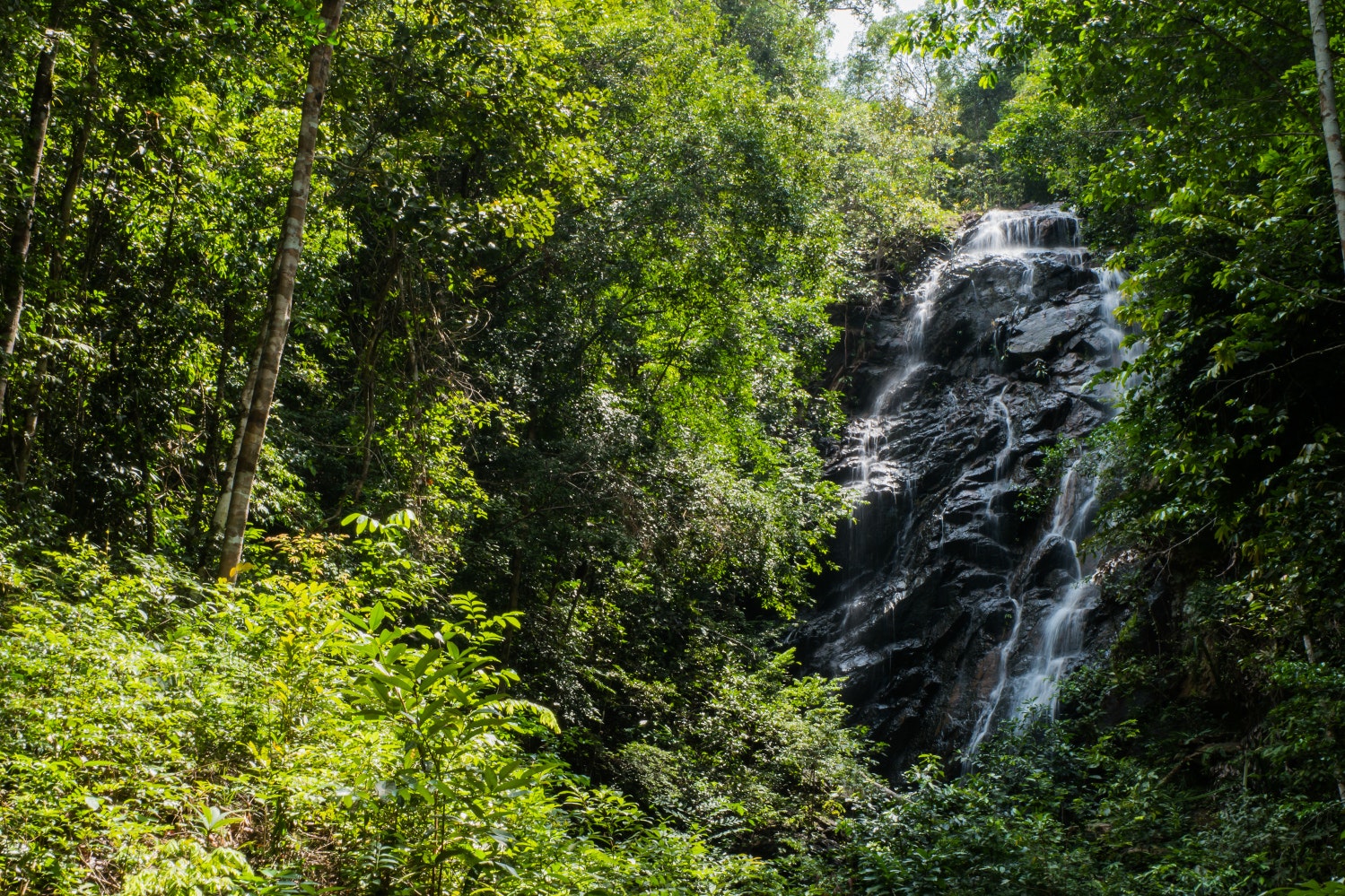 Nam Tok Phaeng is just one of several waterfalls on Ko Pha-Ngan, Thailand © Phurinee / Getty Images
