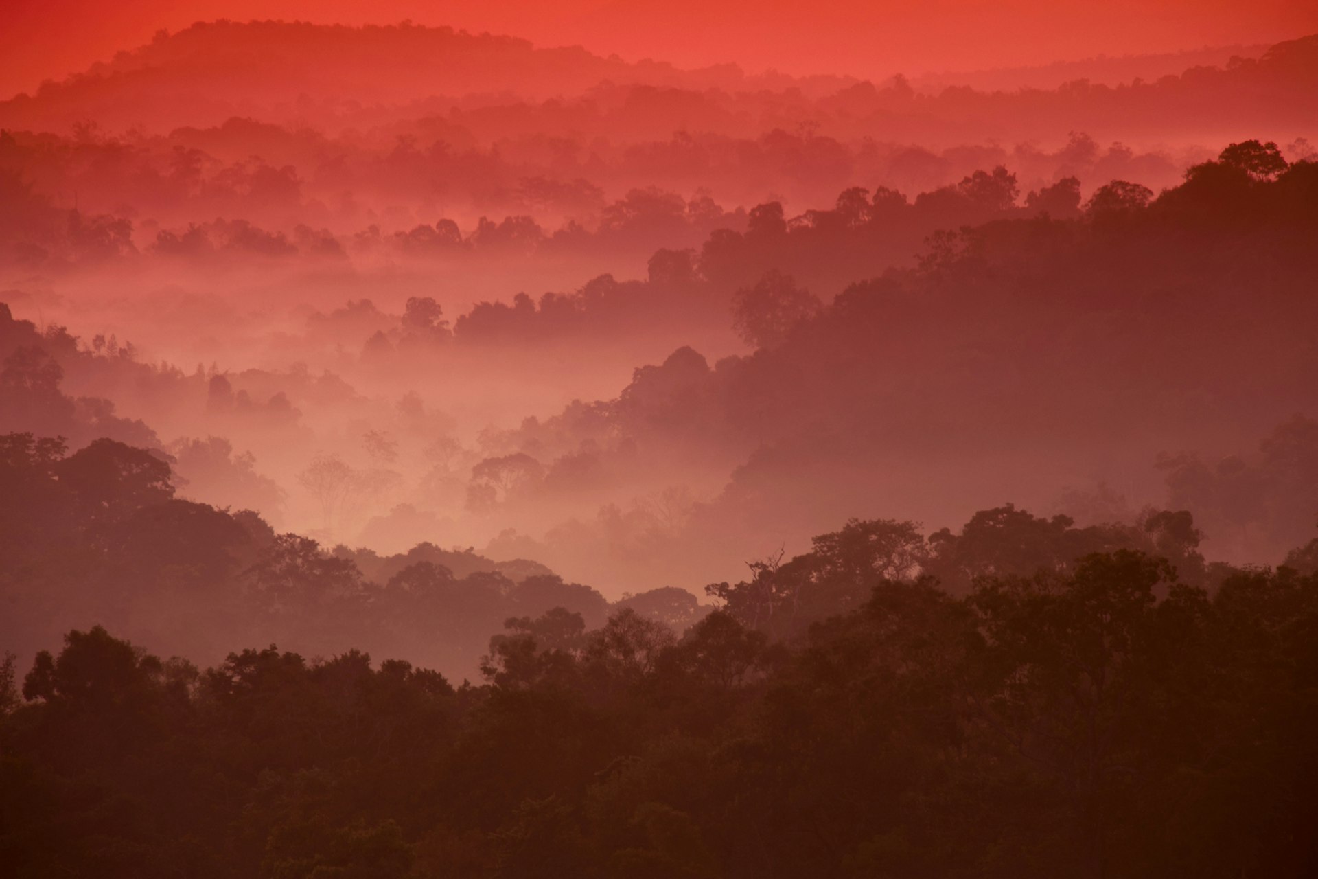 Sunrise at Nam Nao National Park, northeastern Thailand © Marit321 / Getty Images