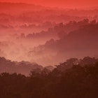 Features - Sunrise at Nam Nao National Park, northeastern Thailand