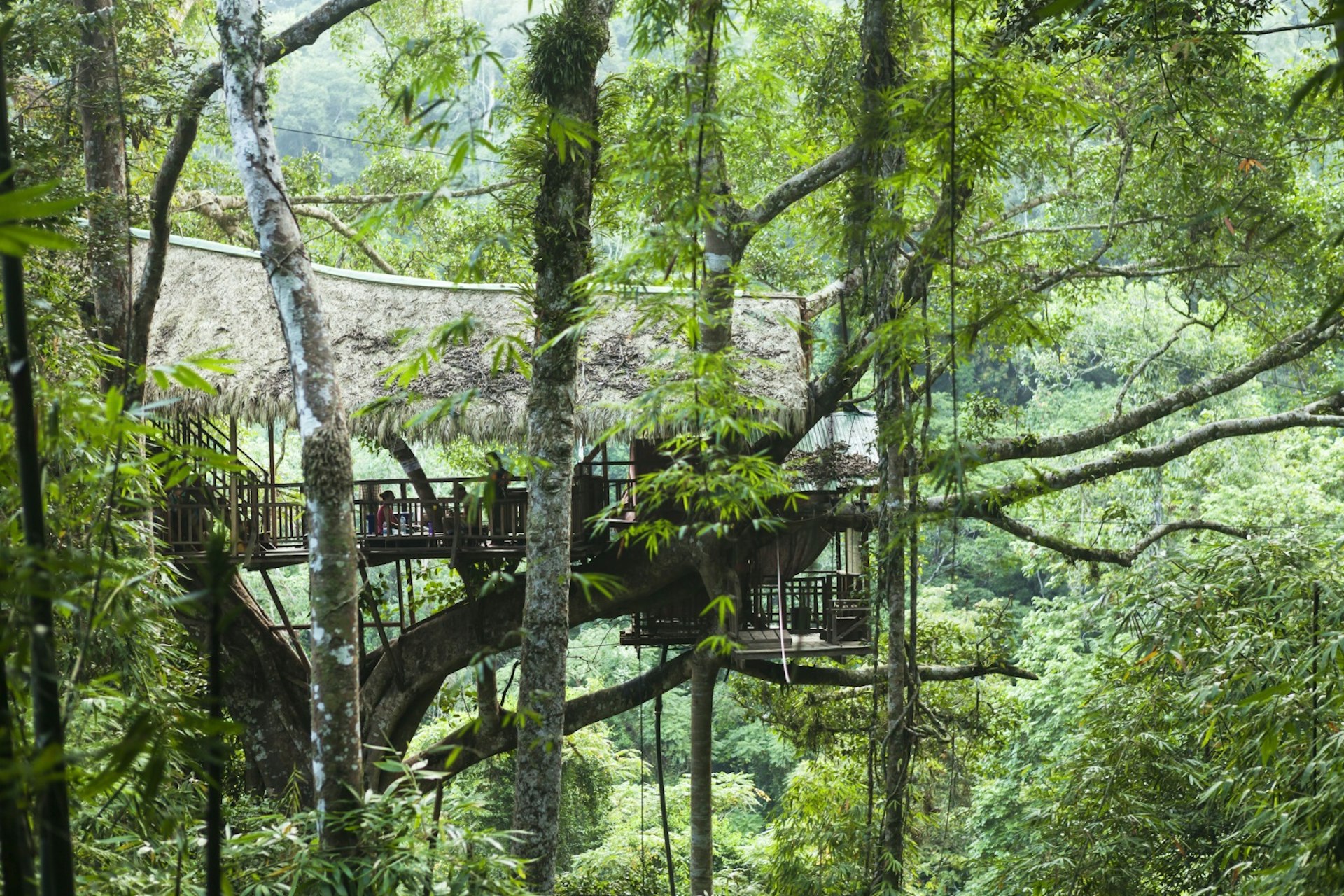 Tree house in the forest at the Gibbon Experience