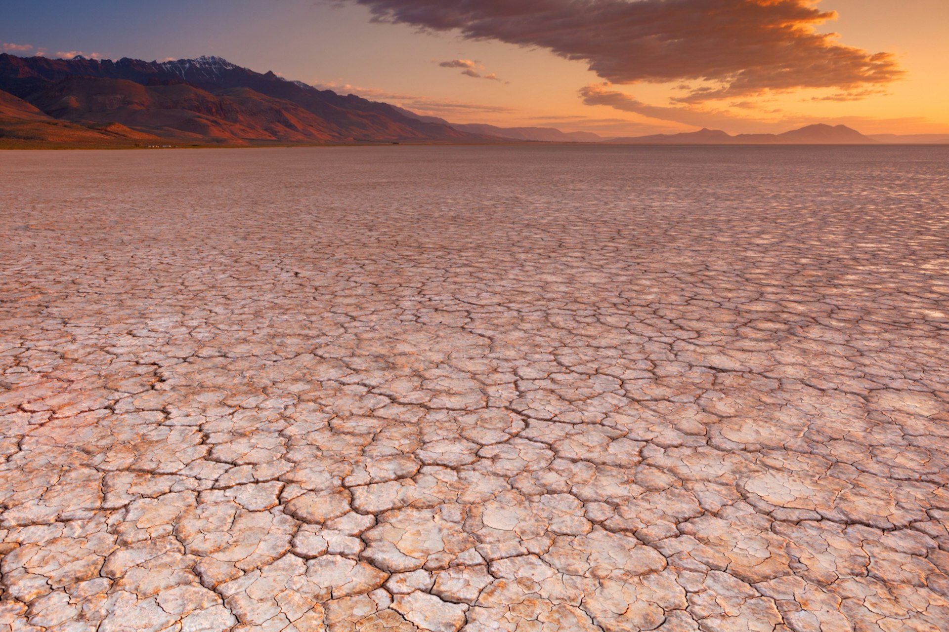 The cracked earth of the Alvord Desert © sara_winter / E+ / Getty