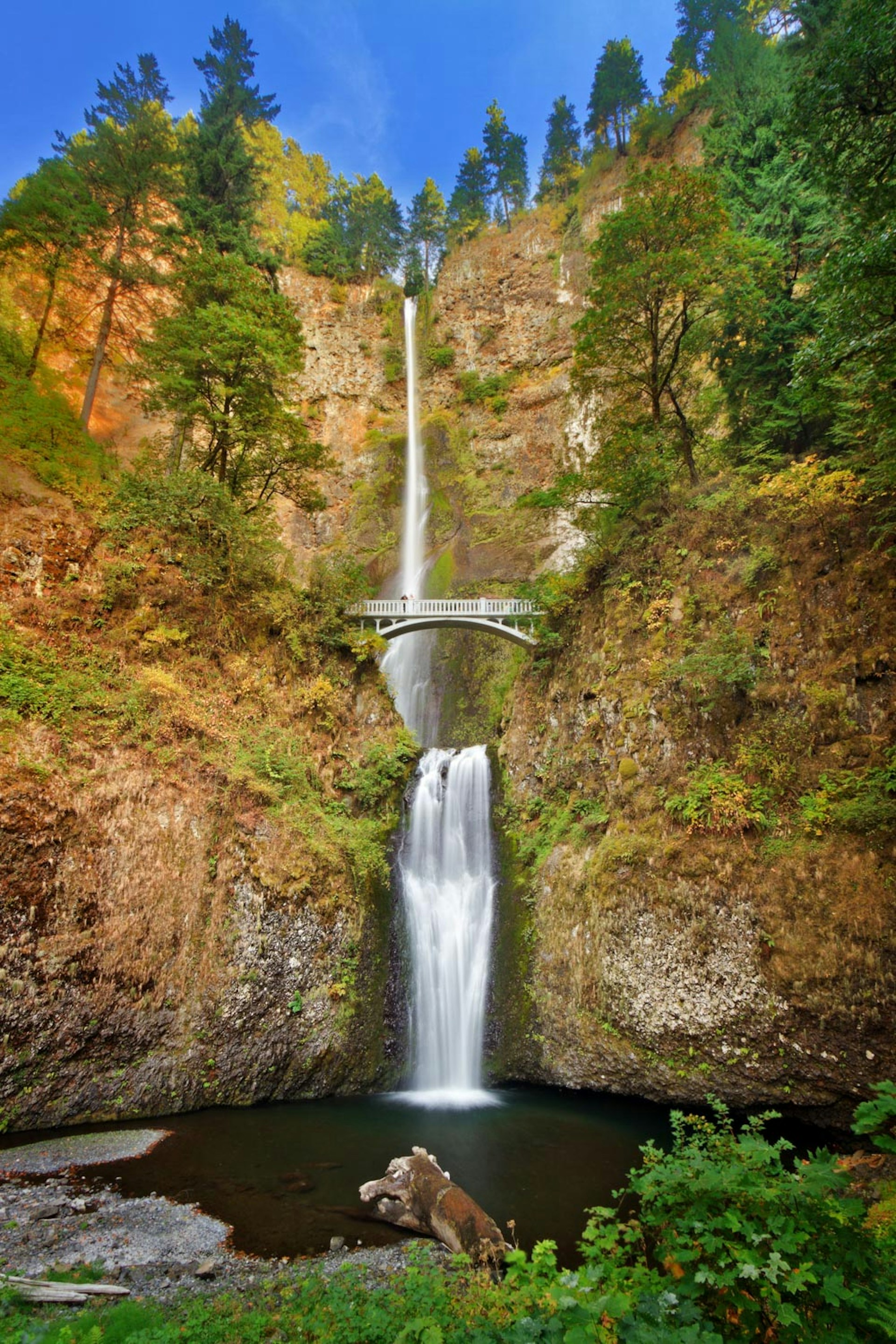 Multnomah Falls and bridge © Anna Gorin / Getty Images / Moment RF 