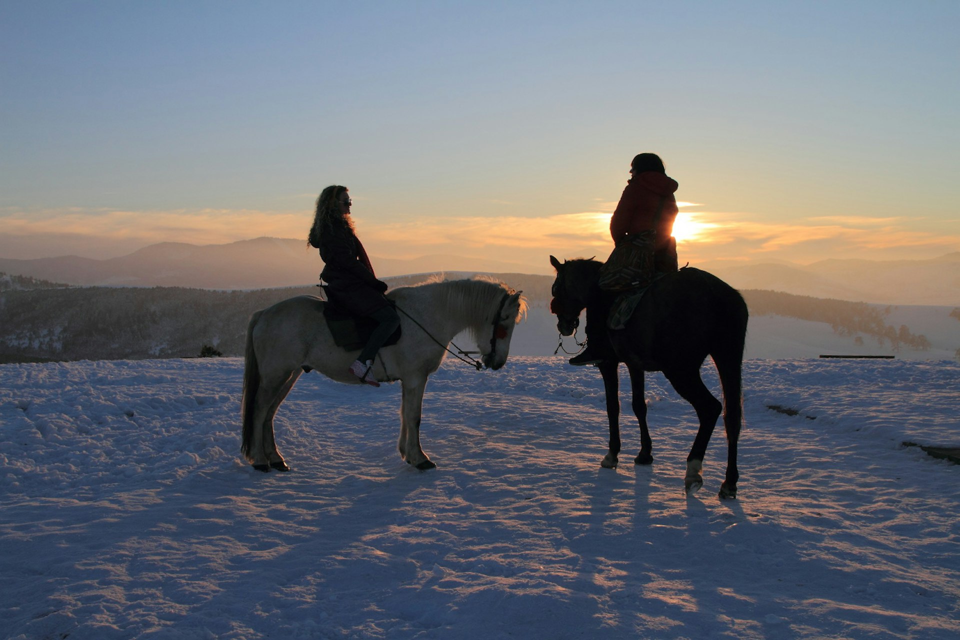 Silhouettes of two horses and riders standing in the snow with a sunset in the background