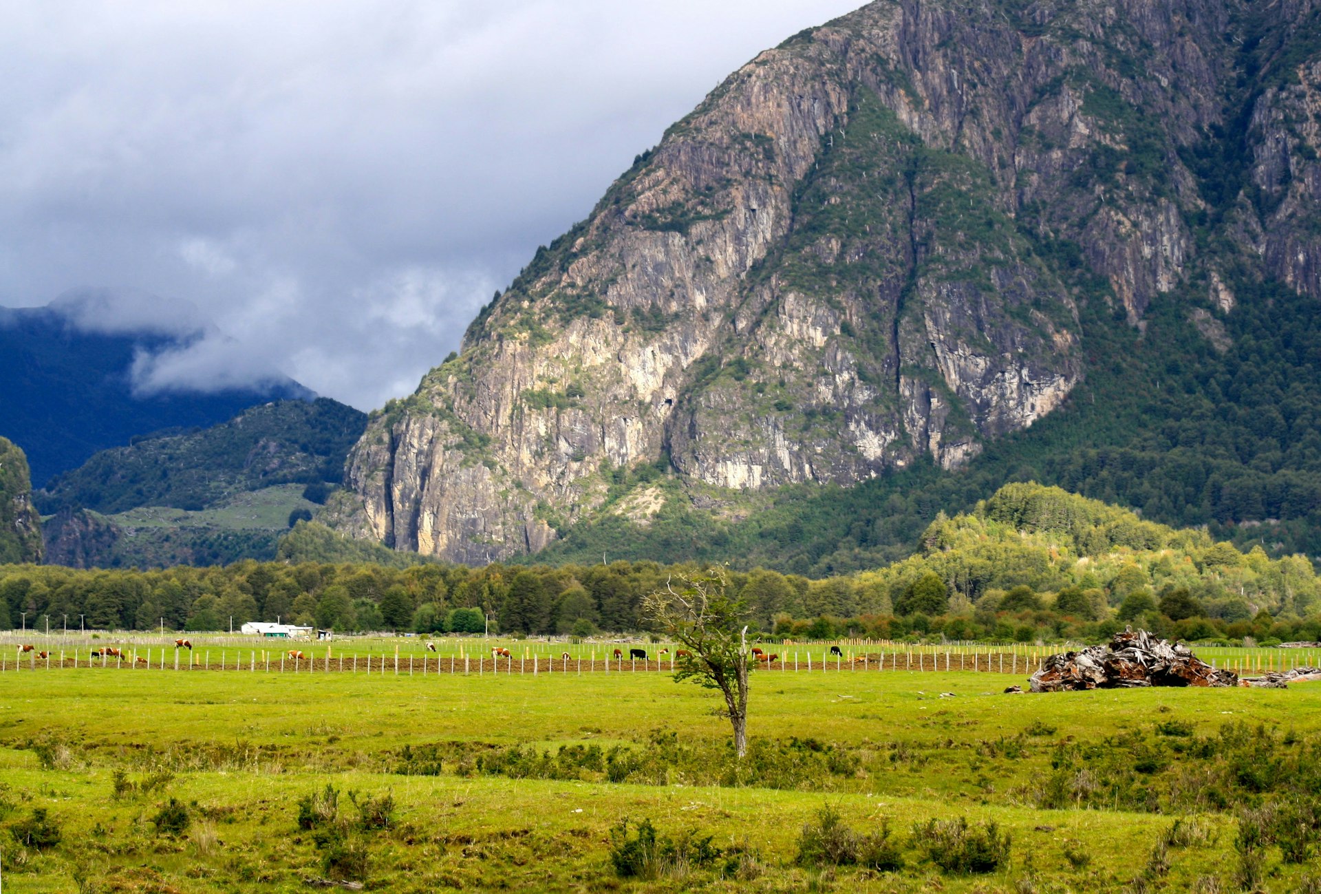 The rural landscape seen on Chile's Carretera Austral © Carolyn McCarthy