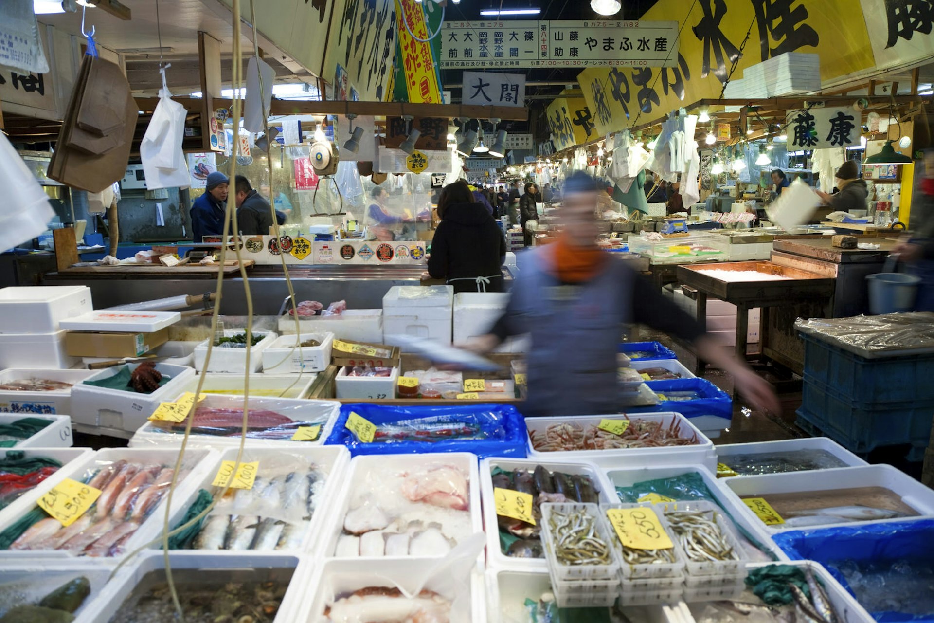 Tsukiji Fish Market, Tokyo Japan