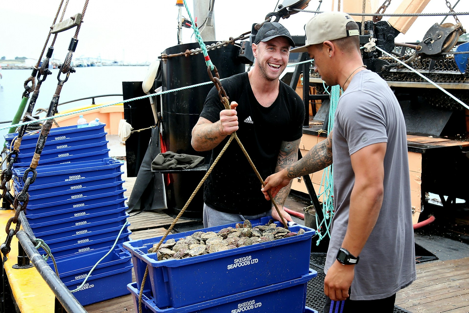 Bluff oysters New Zealand