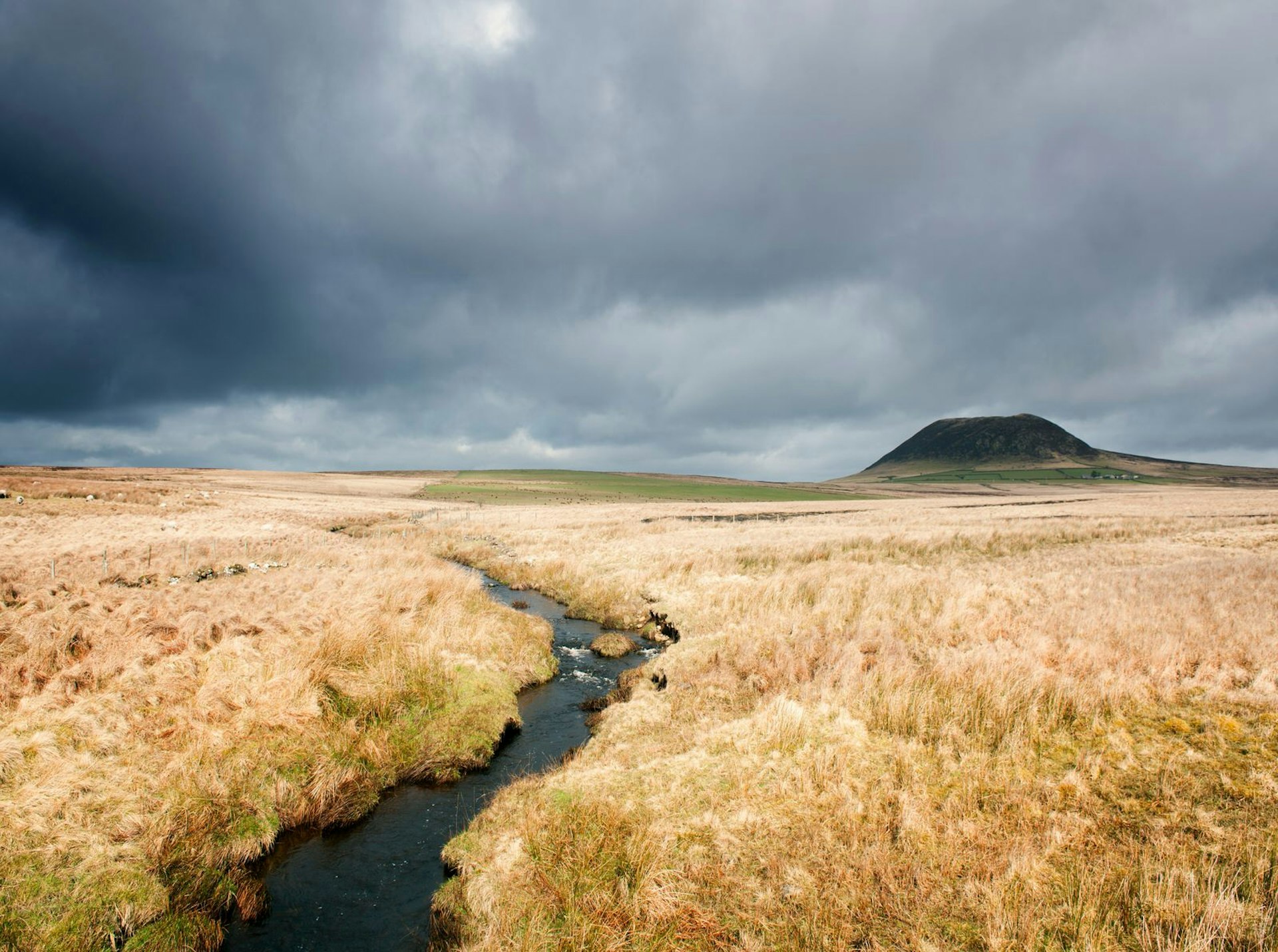Grasslands stretch towards Slemish Mountain © Cultura RM / Planet Pictures / Getty
