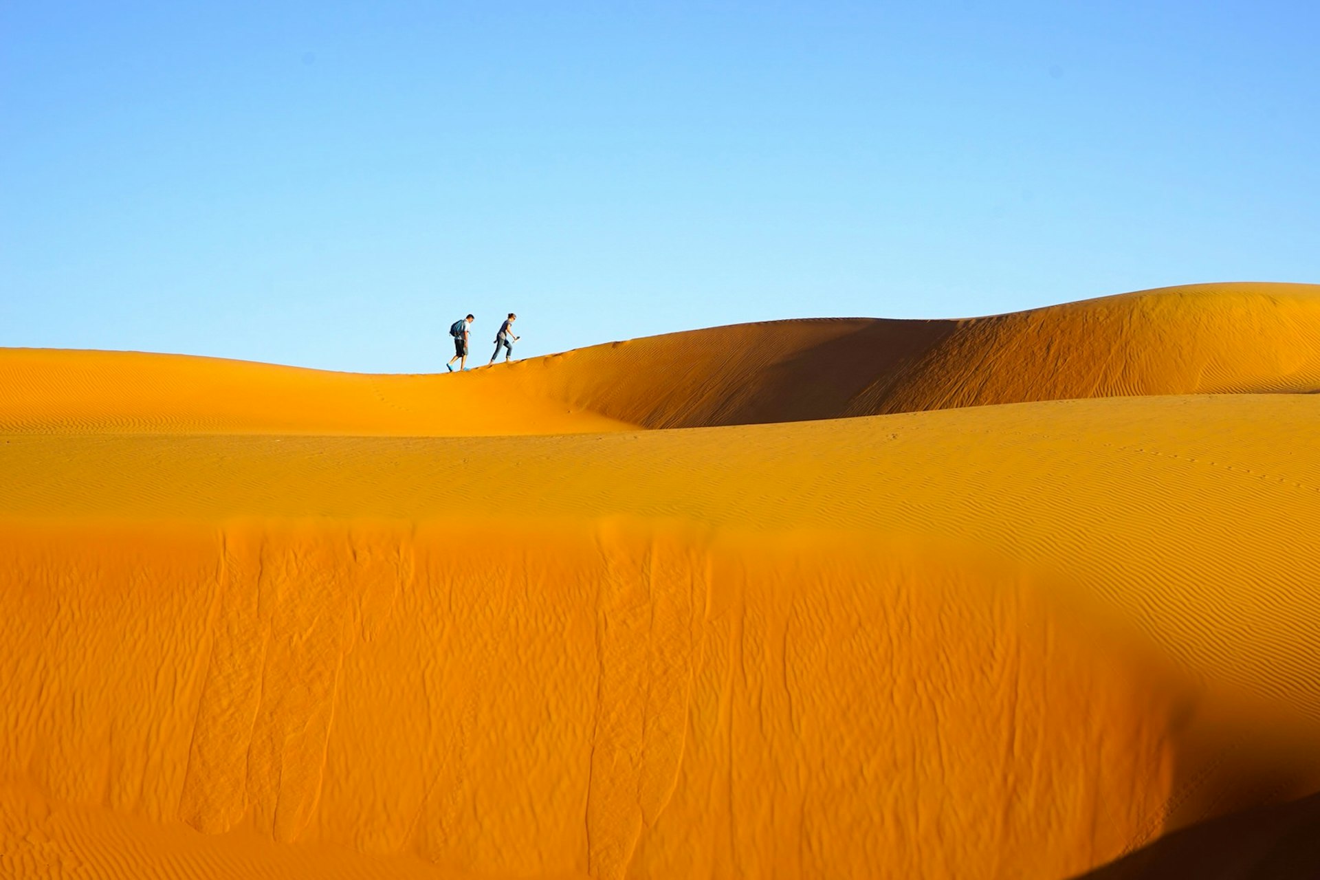 The dunes of Sharqiya can reach heights of 100m © James Kay / Lonely Planet