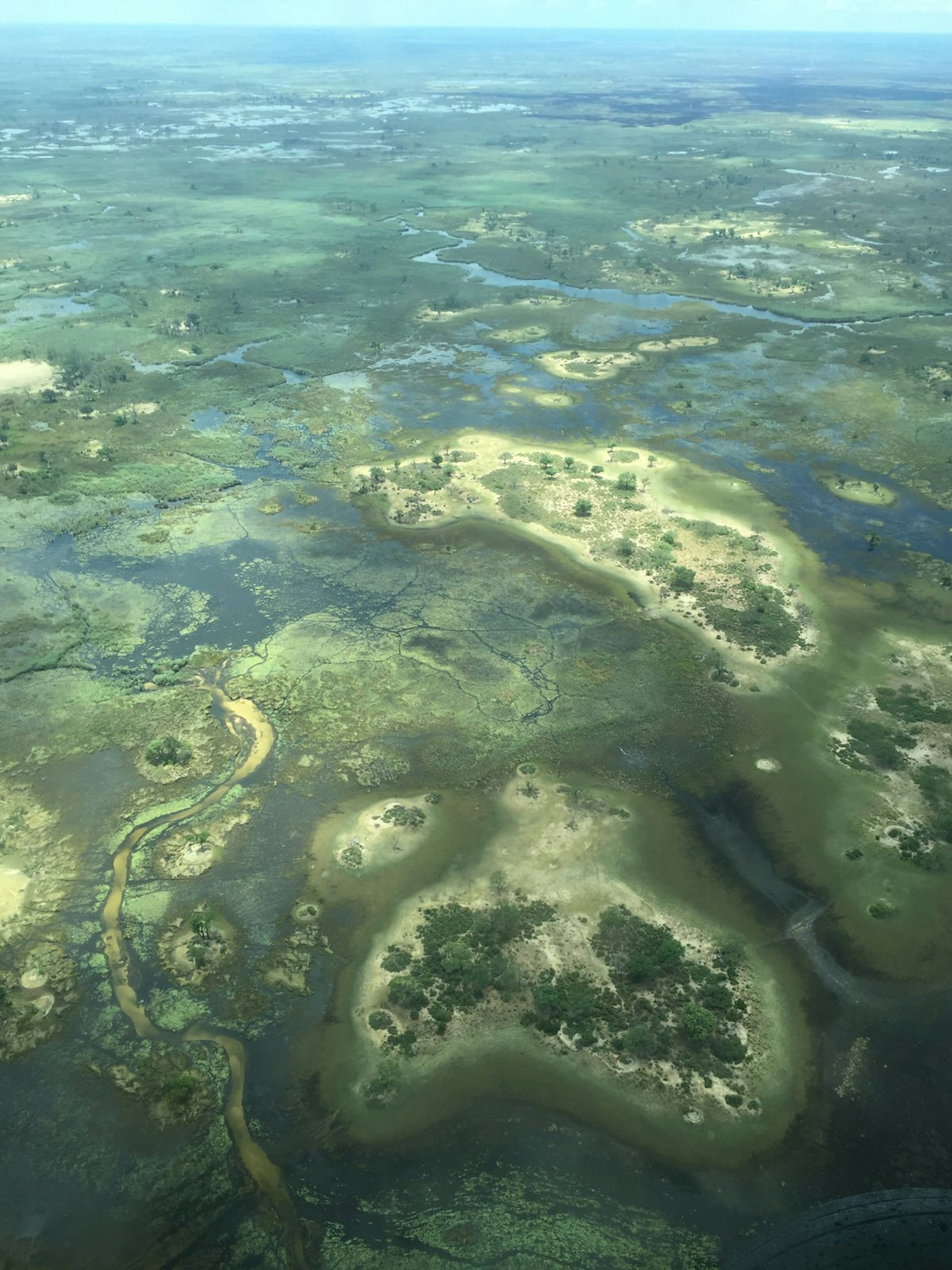 Botswana's Okavango Delta is an environment like no other © Matt Phillips / Lonely Planet