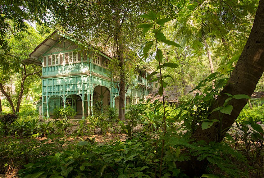 Wild India Step Into The Real Life Jungle Book Lonely Planet Wild India Step Into The Real Life Jungle Book Lonely Planet